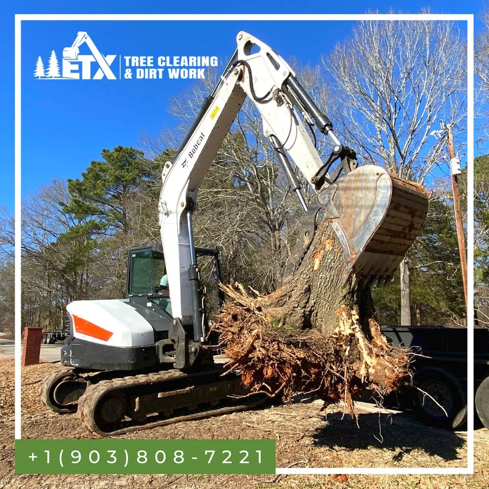 Professional yard cleanup service for residential properties in Longview, TX by ETX Tree Clearing & Dirt Work