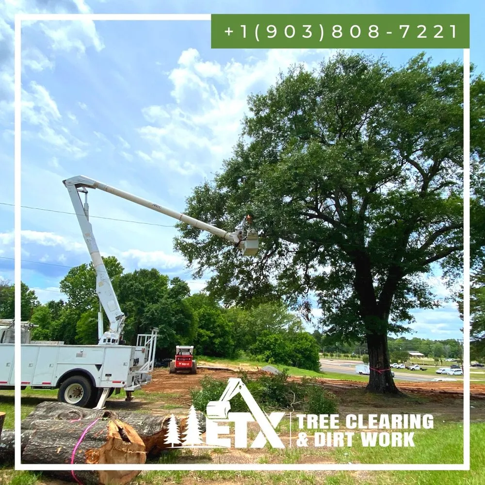 Custom residential landscaping experts serving Longview, TX - ETX Tree Clearing & Dirt Work