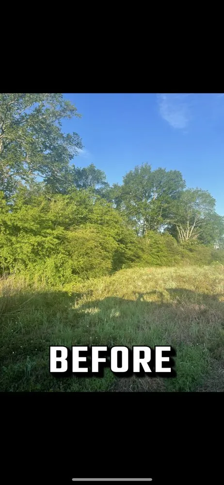 Affordable garden landscaping in Tyler, TX - ETX Valley Construction