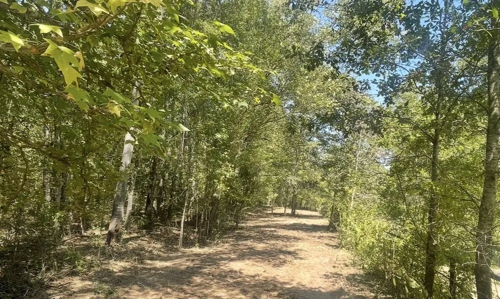 Affordable residential landscaping for residential properties in Tyler, TX by ETX Valley Construction