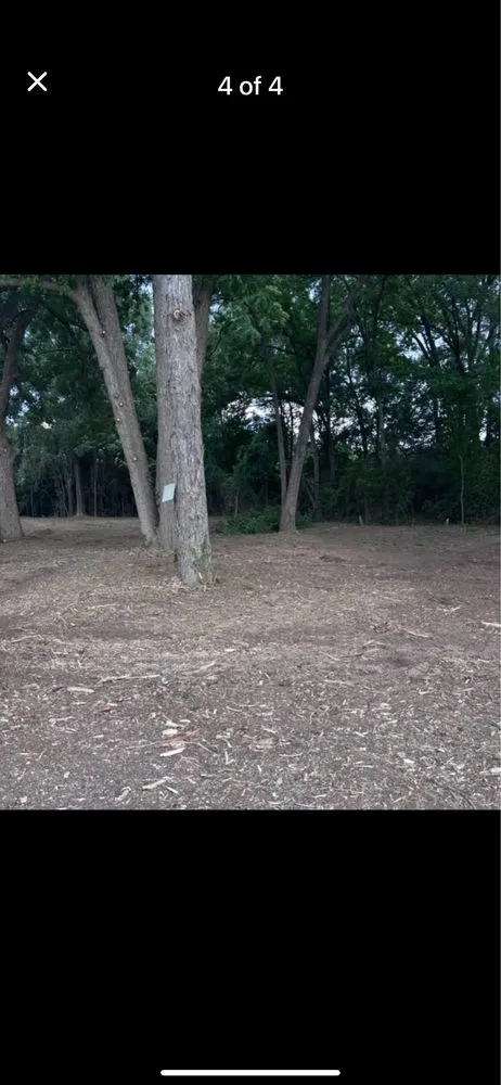 Custom yard cleanup service in Tyler, TX - ETX Valley Construction