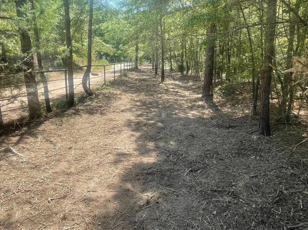 Local garden landscaping experts serving Tyler, TX - ETX Valley Construction