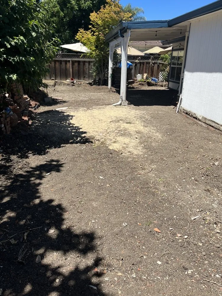 Reliable yard cleanup service experts serving Newark, CA - EUA Gardening & Hardscaping