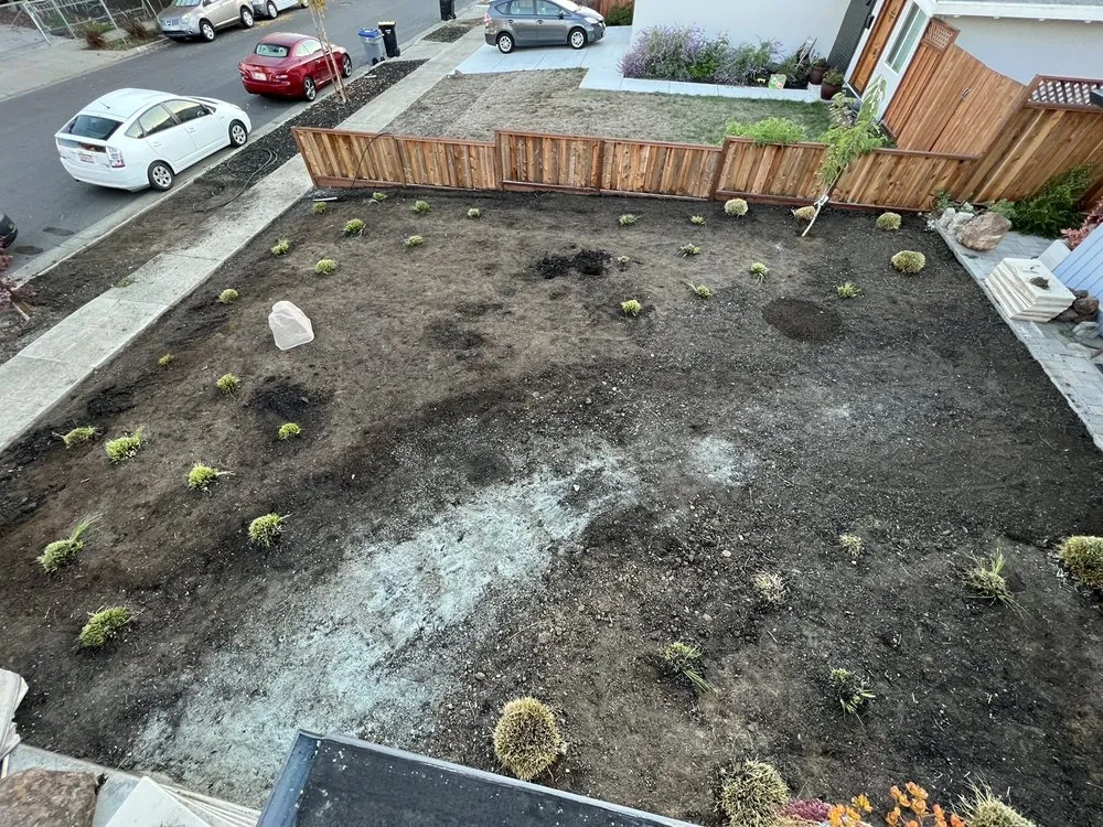Expert yard maintenance for residential properties across Newark, CA - EUA Gardening & Hardscaping