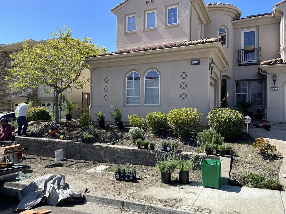 Reliable lawn mowing service in Newark, CA by EUA Gardening & Hardscaping