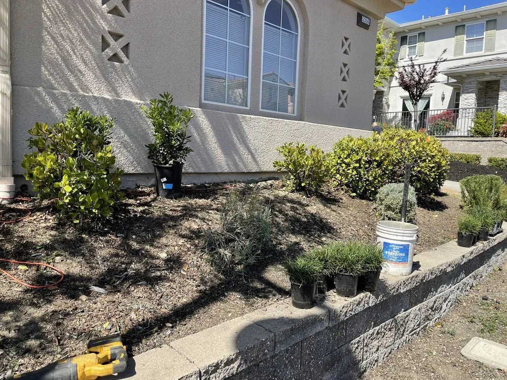 Trusted residential landscaping in Newark, CA - EUA Gardening & Hardscaping