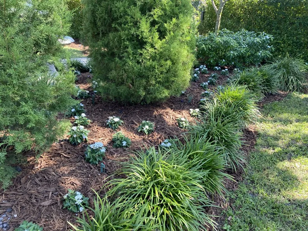 Reliable lawn care service in Homestead, FL - Euanas Lawn Service