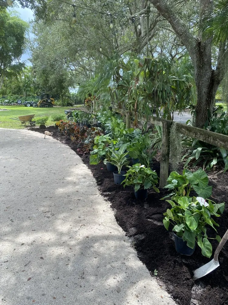 Professional landscape design experts serving Homestead, FL - Euanas Lawn Service