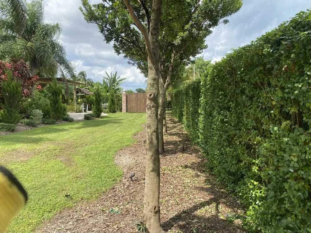 Top-rated landscape installation in Homestead, FL by Euanas Lawn Service