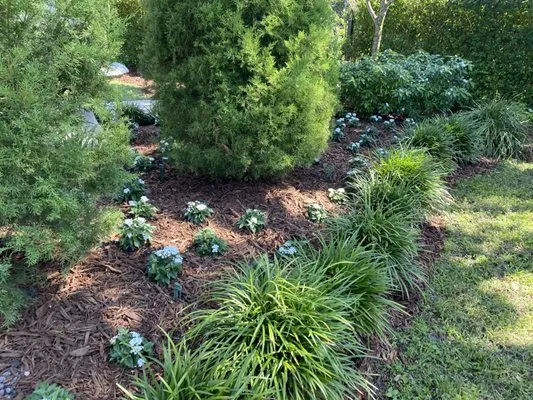 Euanas Lawn Service Logo