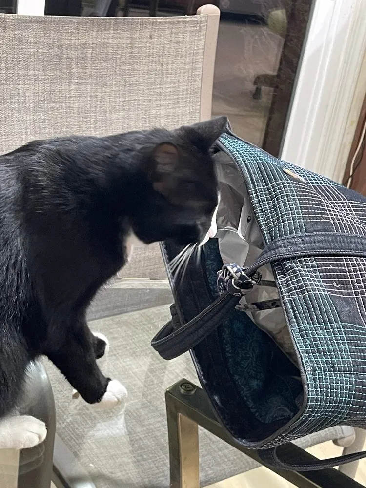 Local yard maintenance for outdoor upgrades in Rockville, MD by EUG Home Services