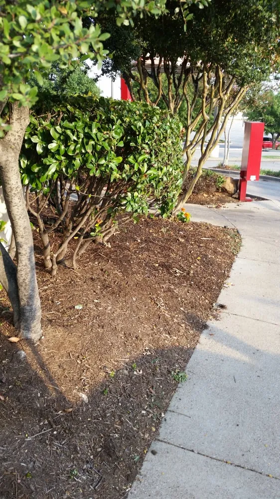 Affordable landscape design for beautiful yards across Coppell, TX - Eugene B Landscaping