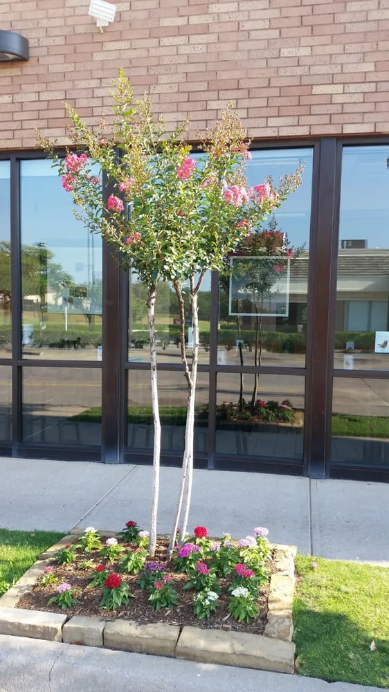 Top-rated lawn care service for outdoor upgrades in Coppell, TX by Eugene B Landscaping