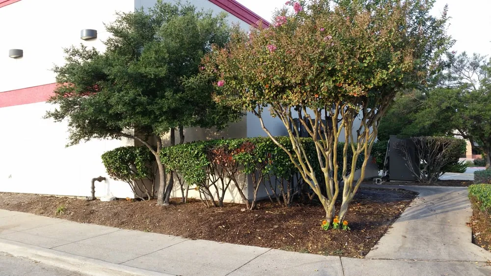 Local outdoor landscaping for year-round maintenance in Coppell, TX by Eugene B Landscaping