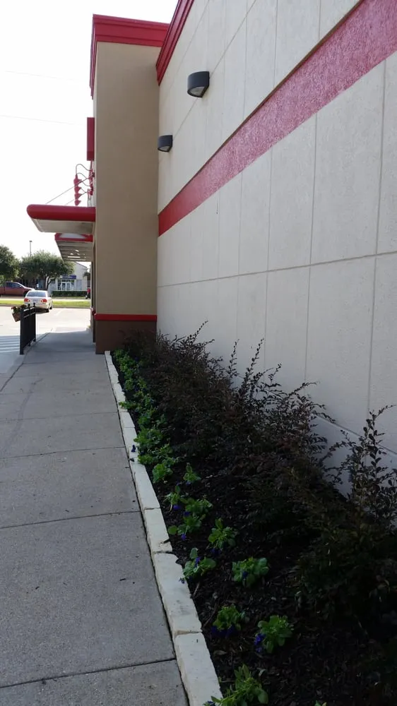 Trusted residential landscaping experts serving Coppell, TX - Eugene B Landscaping