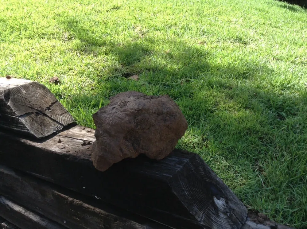 Expert outdoor landscaping experts serving Coppell, TX - Eugene B Landscaping