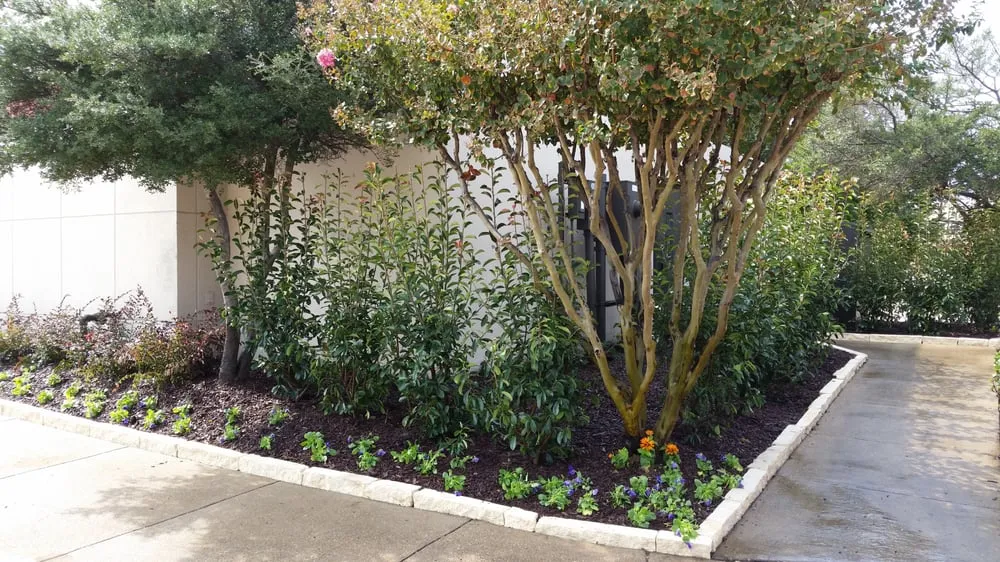 Professional landscape installation in Coppell, TX - Eugene B Landscaping