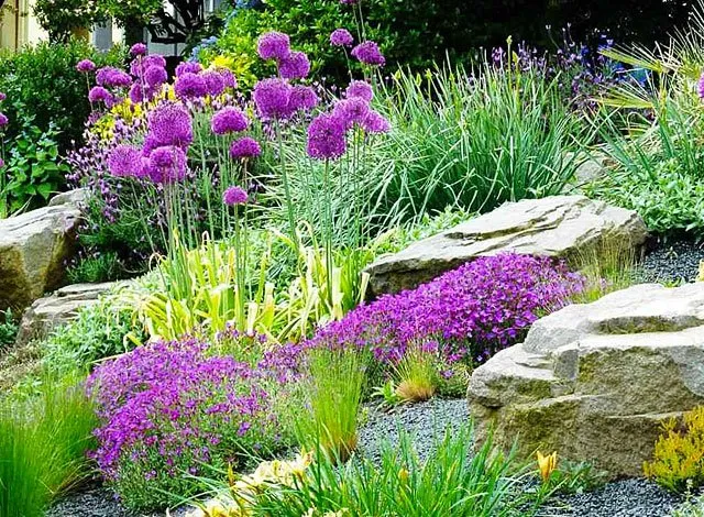 Reliable lawn mowing service with custom design across Eugene, OR - Eugene Garden Design