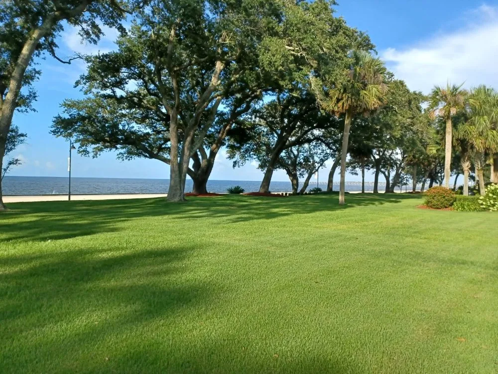 Top-rated landscape installation in Gautier, MS - Eugene Green