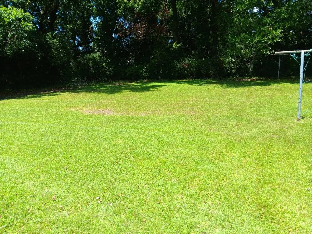 Trusted landscape design for homes across Gautier, MS - Eugene Green