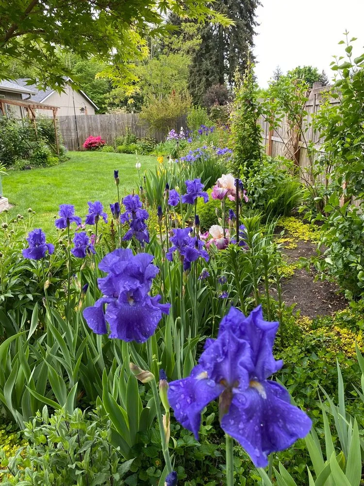 Expert landscape installation experts serving Eugene, OR - Eugene Landscape & Irrigation