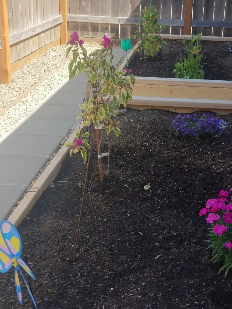 Custom yard maintenance in Eugene, OR by Eugene Landscape & Irrigation