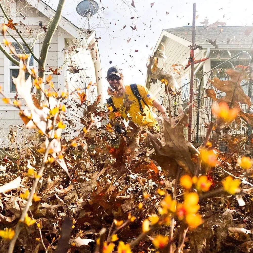 Expert lawn care service for outdoor upgrades across Springfield, OR - Eugene Lawn Rescue