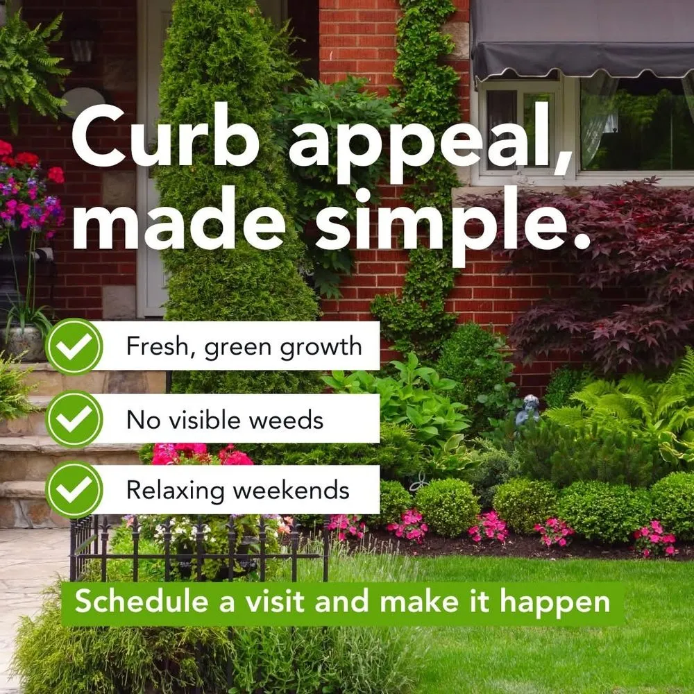 Custom garden landscaping in Springfield, OR by Eugene Lawn Rescue