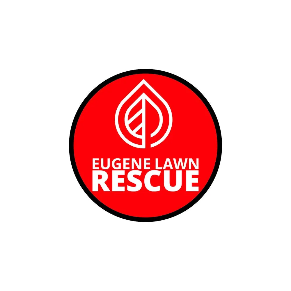 Custom yard cleanup service for year-round maintenance across Springfield, OR - Eugene Lawn Rescue