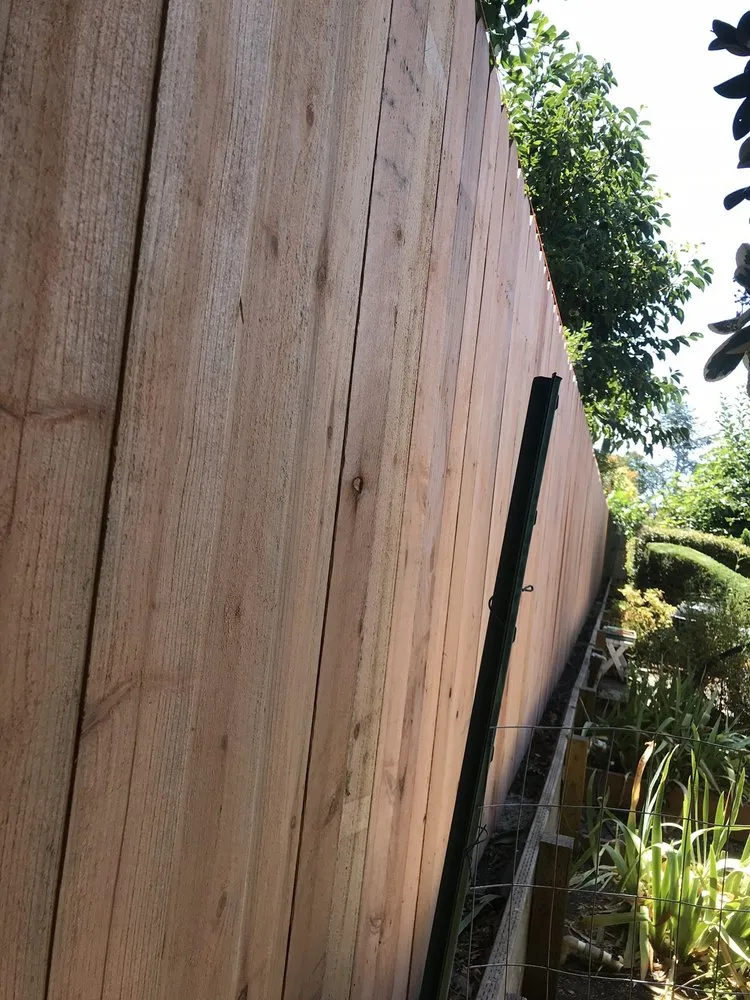 Reliable lawn care service experts serving Mill Valley, CA - Eugene Luis