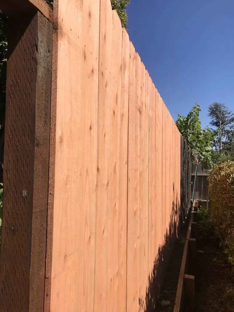 Professional residential landscaping experts serving Mill Valley, CA - Eugene Luis