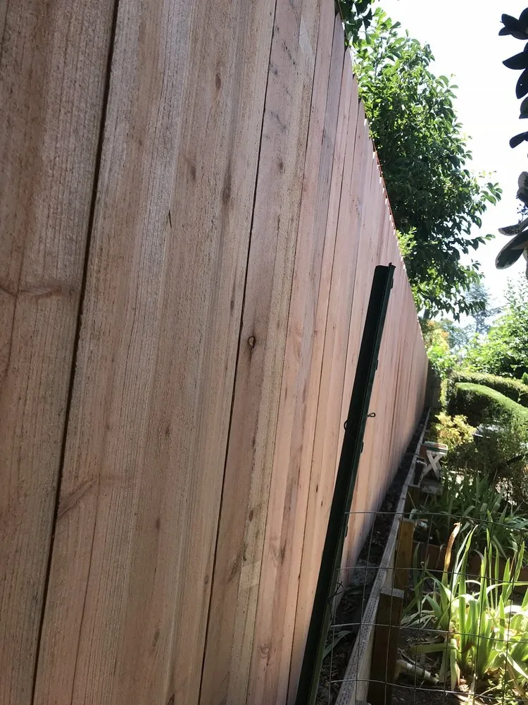 Professional garden landscaping in Mill Valley, CA - Eugene Luis