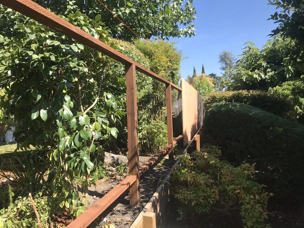 Reliable outdoor landscaping for residential properties in Mill Valley, CA by Eugene Luis