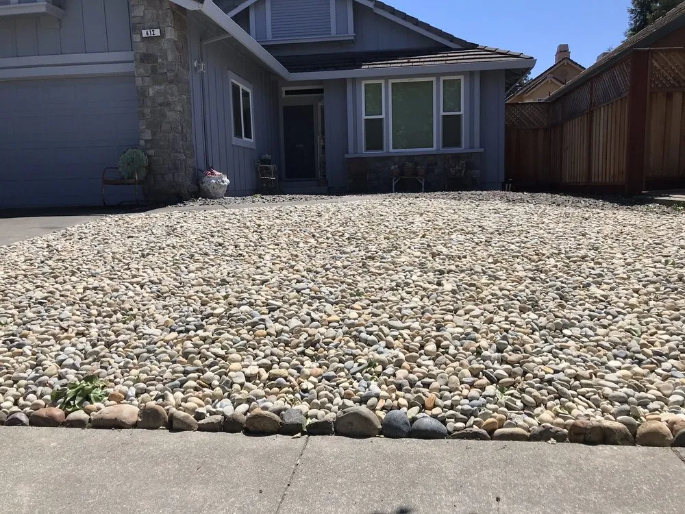 Professional yard maintenance experts serving Mill Valley, CA - Eugene Luis