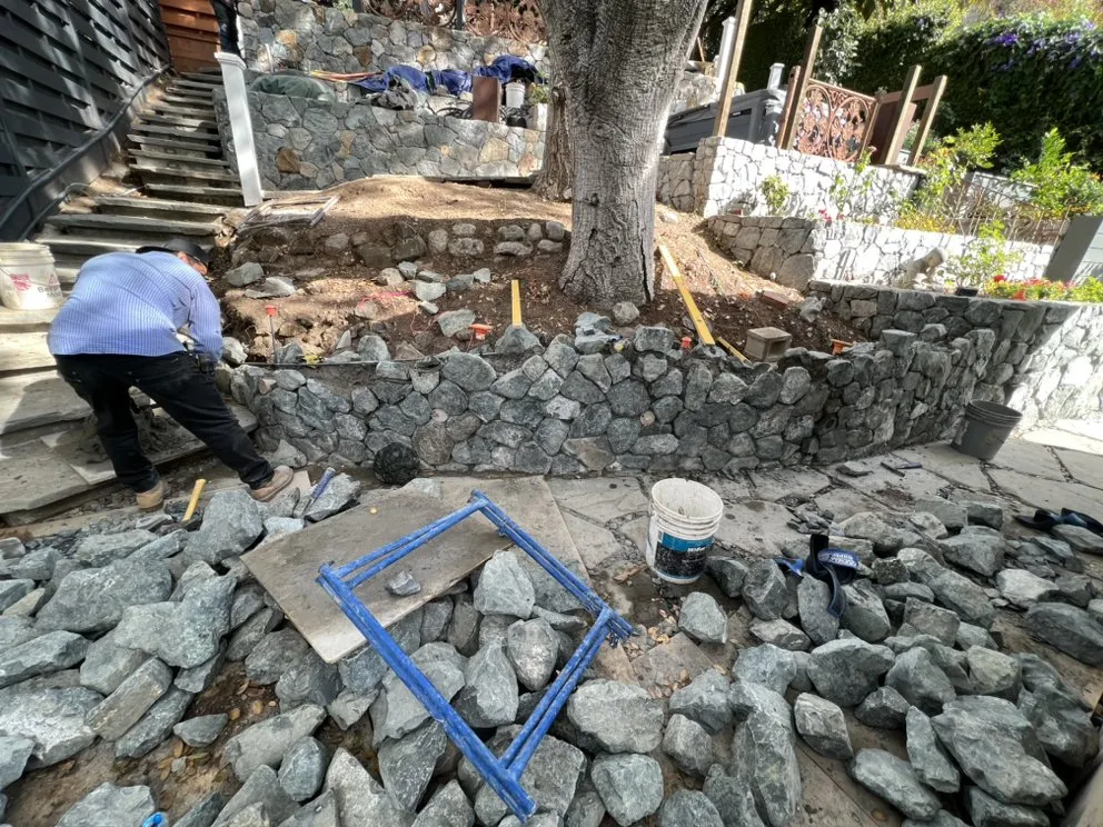 Professional lawn mowing service near you across Mill Valley, CA - Eugene Luis