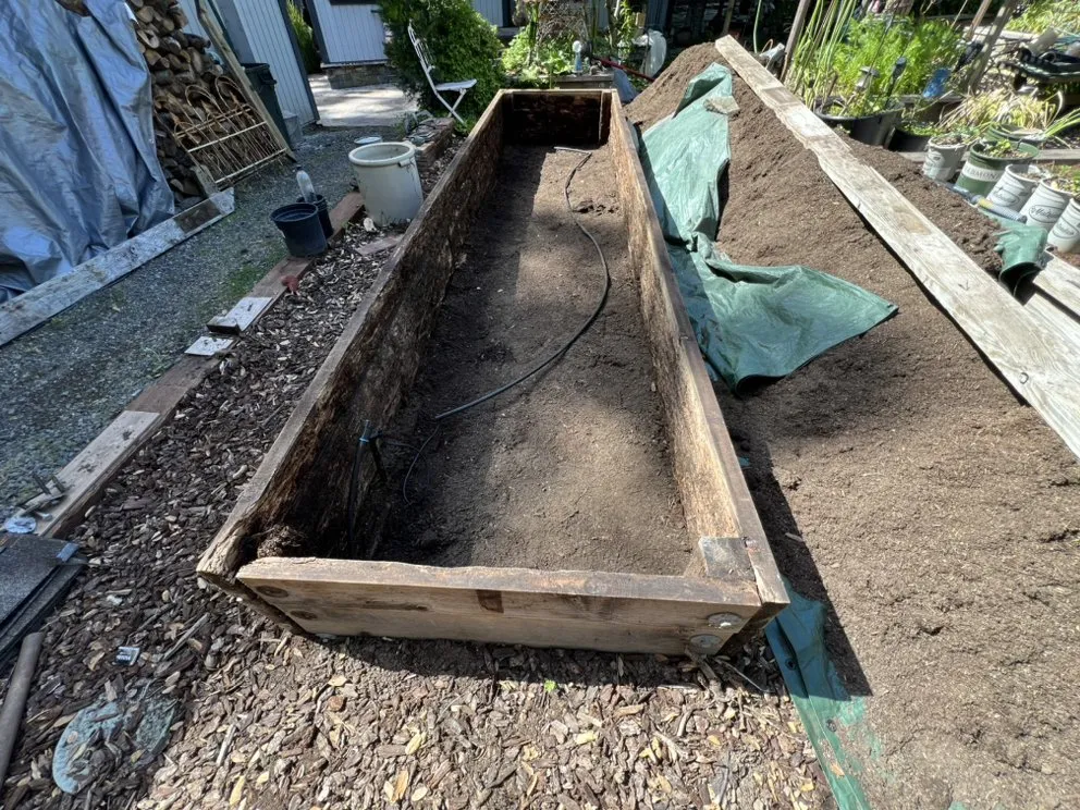 Custom landscape design experts serving Mill Valley, CA - Eugene Luis