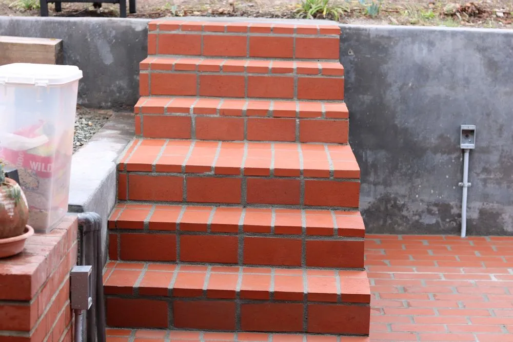 Expert yard maintenance in Mill Valley, CA by Eugene Luis