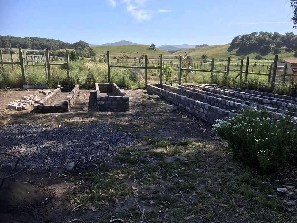 Affordable lawn care service in Mill Valley, CA - Eugene Luis