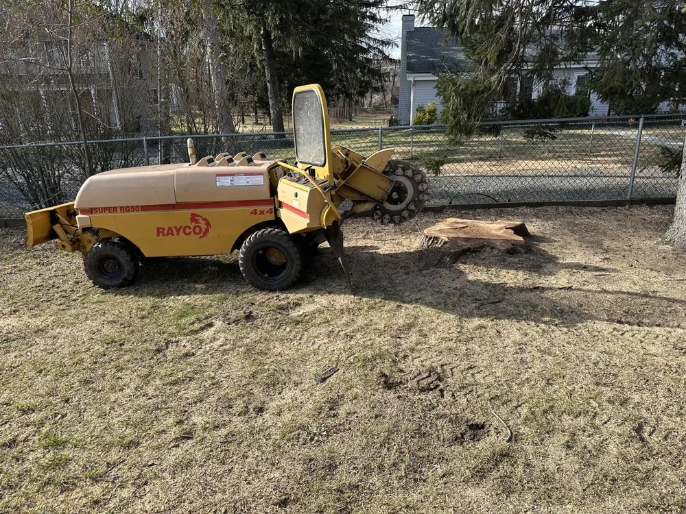 Expert landscape design near you in Vauxhall, NJ by Eugene M Brennan Tree Service