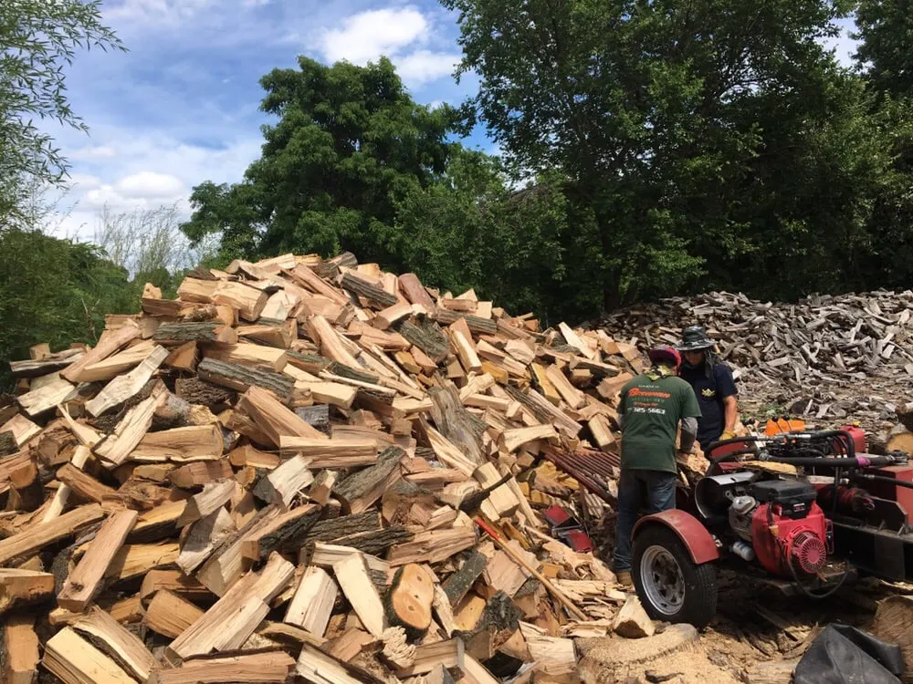 Affordable yard cleanup service with custom design in Vauxhall, NJ by Eugene M Brennan Tree Service