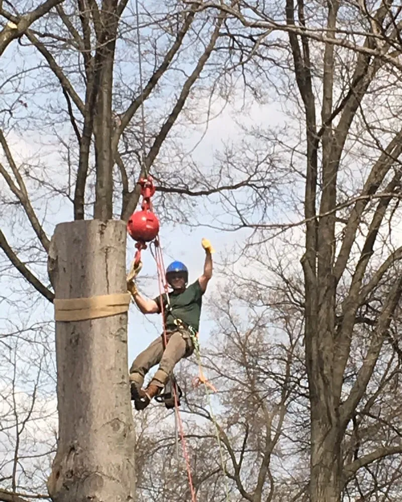Reliable landscape design for residential properties across Vauxhall, NJ - Eugene M Brennan Tree Service