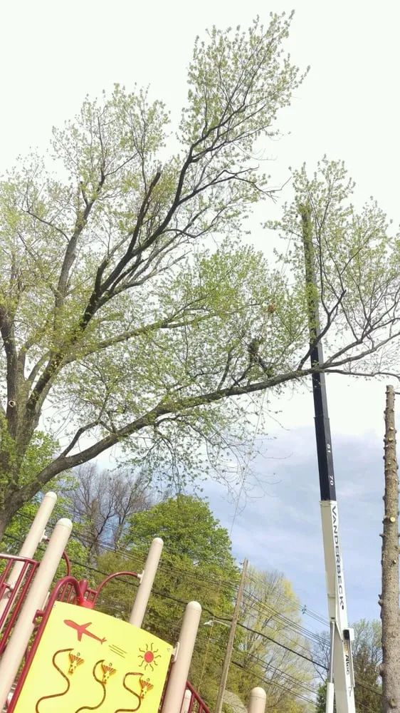 Top-rated landscaping services for residential properties in Vauxhall, NJ by Eugene M Brennan Tree Service
