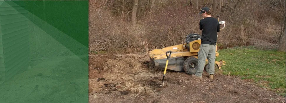 Professional landscape design in Vauxhall, NJ - Eugene M Brennan Tree Service