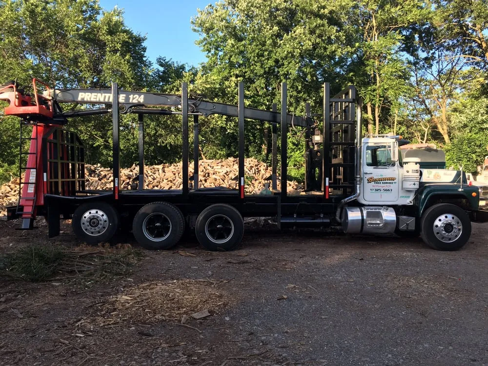 Expert residential landscaping for outdoor upgrades across Vauxhall, NJ - Eugene M Brennan Tree Service