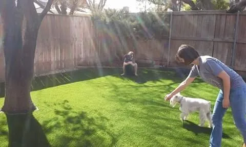 Top-rated residential landscaping near you across Lubbock, TX - Eugene Pipkins Artificial Grass & Landscape