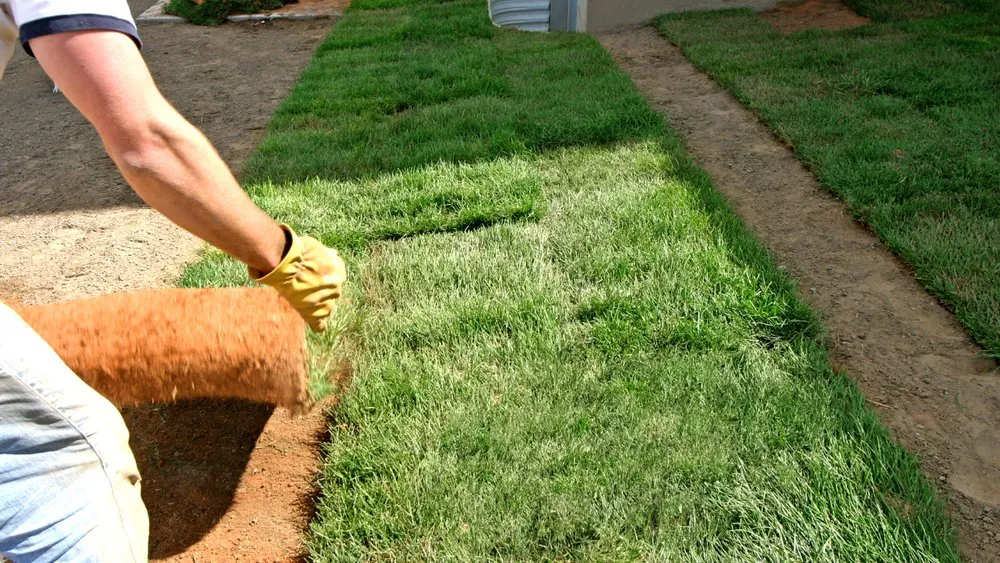 Affordable lawn mowing service in Euless, TX - Euless Landscaping