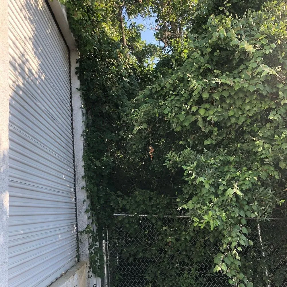 Reliable landscape installation experts serving Fort Worth, TX - Euless Tree Service Company