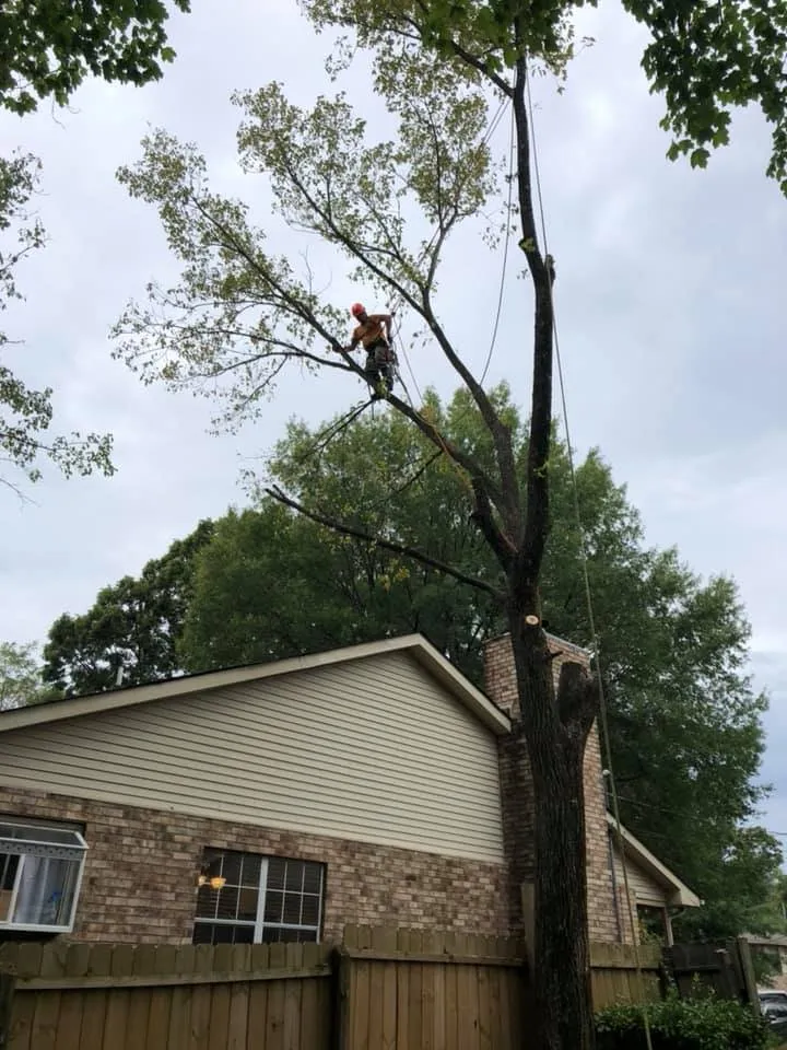 Expert landscape design for residential properties across Fort Worth, TX - Euless Tree Service Company