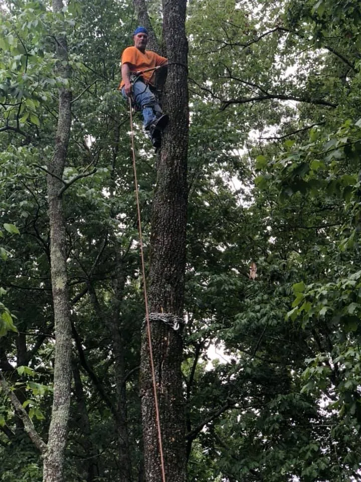 Affordable garden landscaping for beautiful yards in Fort Worth, TX by Euless Tree Service Company