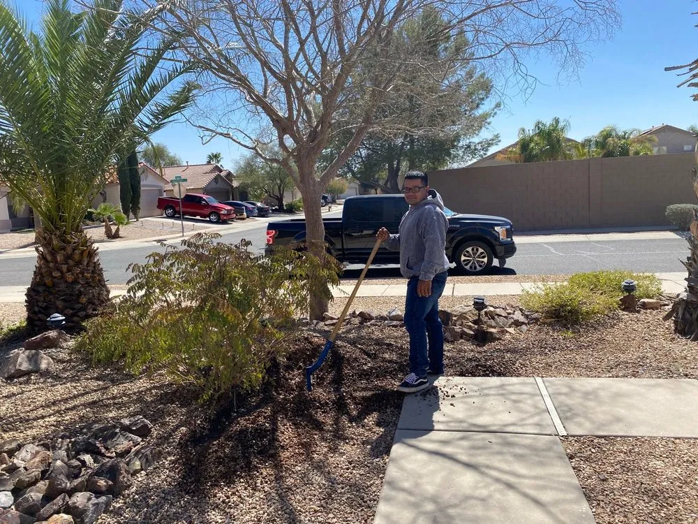 Top-rated yard maintenance in Tucson, AZ - Eunique Desert Landscaping